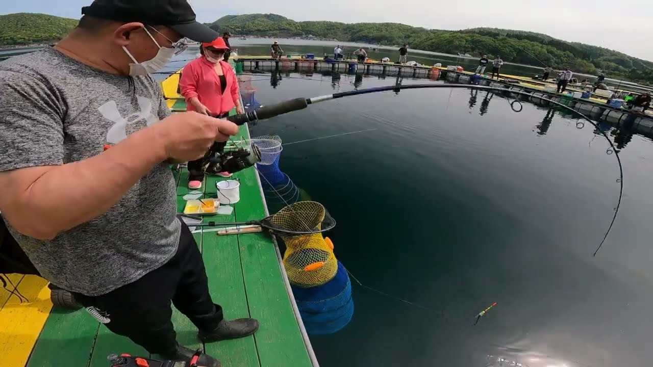 フィッシングランド日向 - Fishing Land Hiruga - 2024/04/29