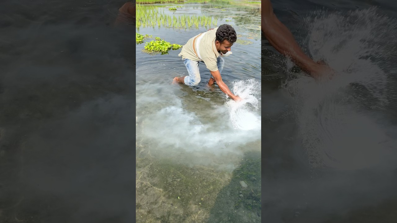 Perfect Cast, Perfect Catch #fish #fyp #foryou #fishing