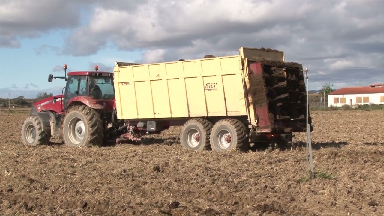 19 EXPULSER CON MOLINETES