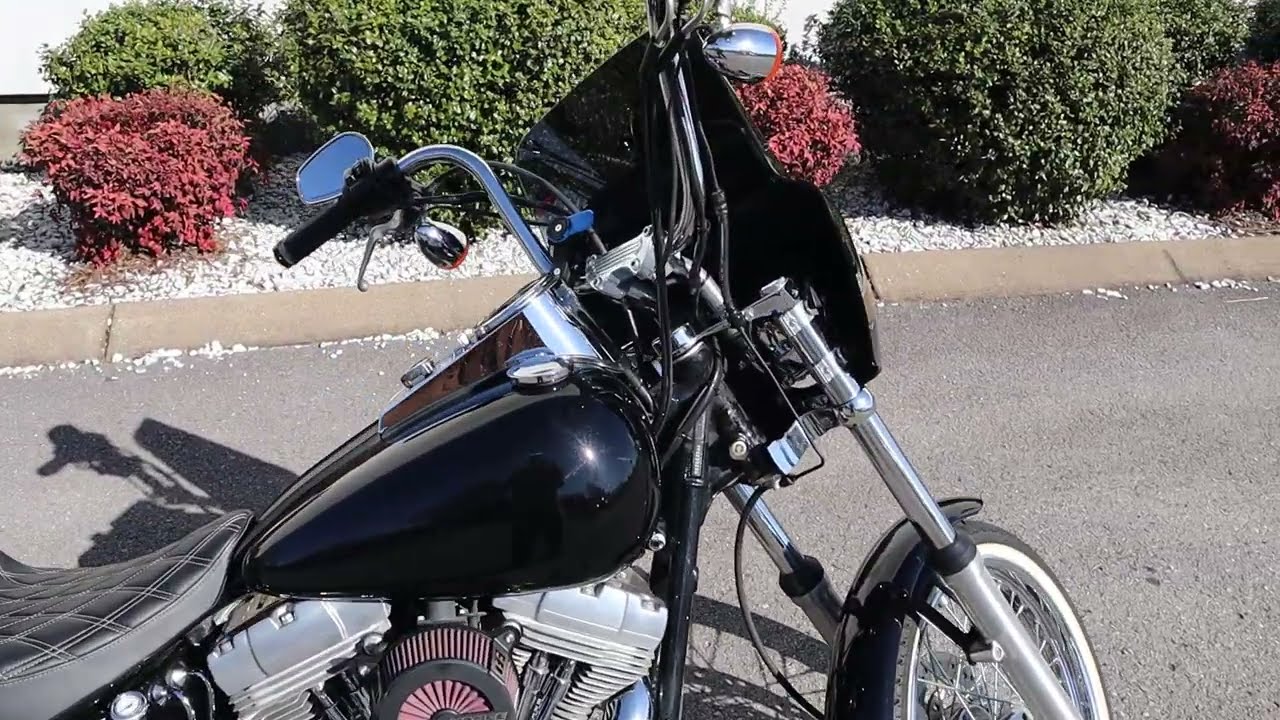 2004 Softail Standard
