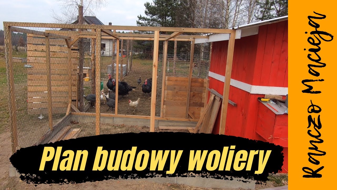 Jak zbudować wolierę? #61
