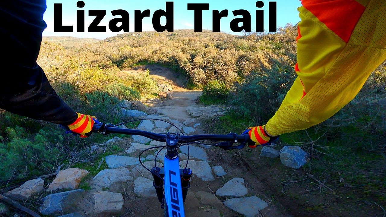 Lizard Trail Crystal Cove State Park | 4k