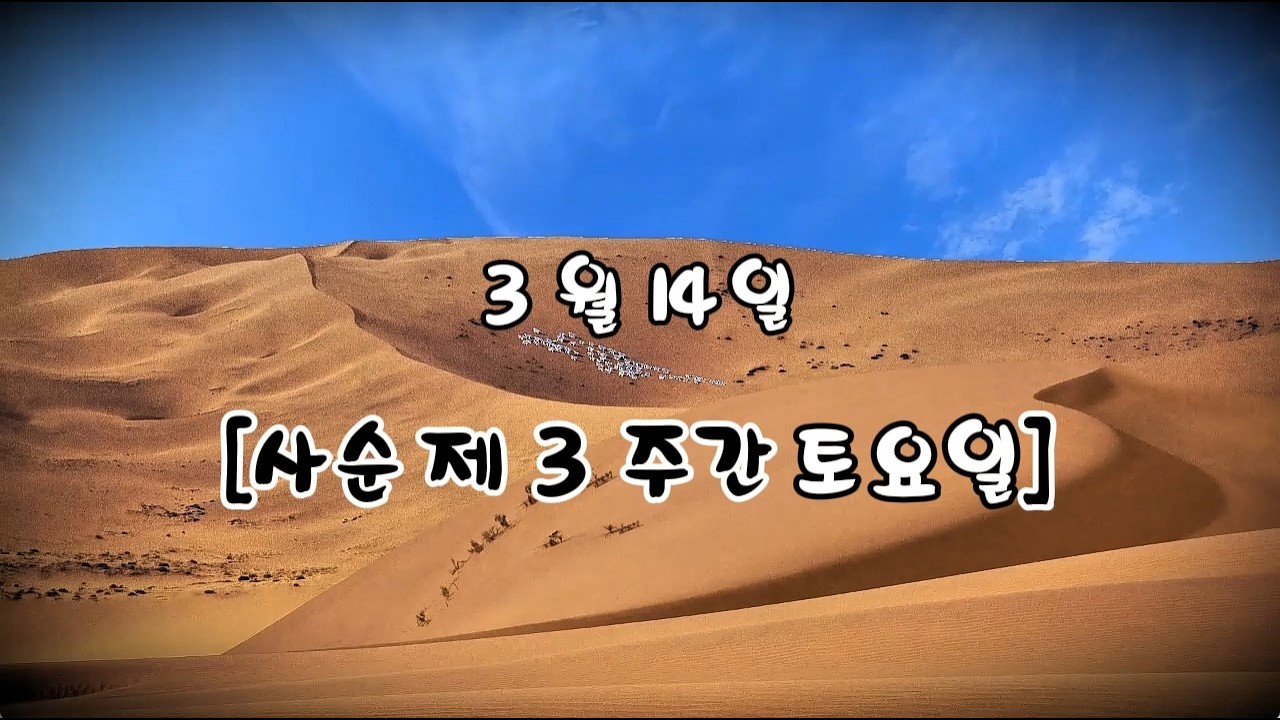 매일미사 (독서, 복음, 강론) 2026년 3월 14일  [사순 제3주간 토요일] ㅣ조인준 미카엘 신부님강론 ✠ 강욱남 (루치오) 영상편집