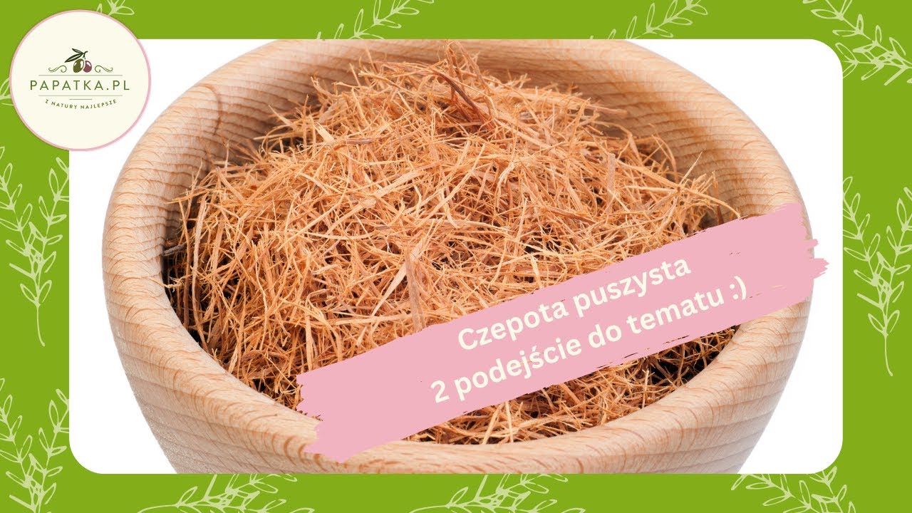Koci pazur Poranek z Papatką nr 496