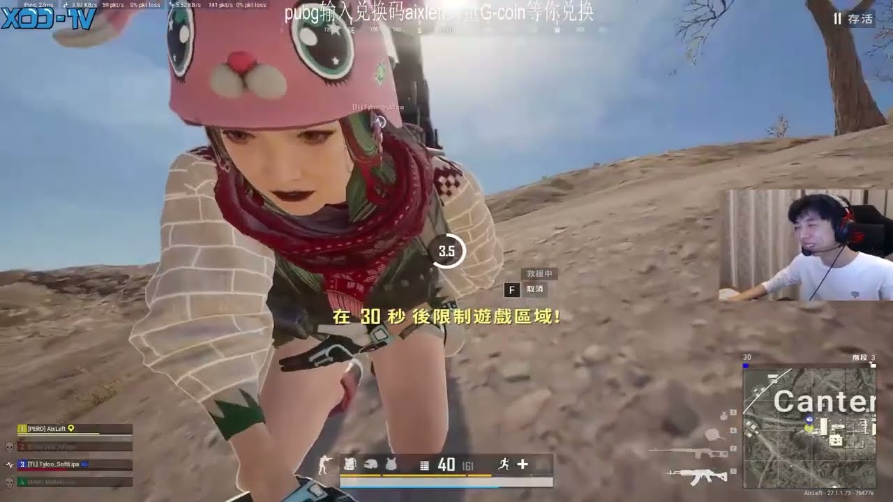 PUBG #40