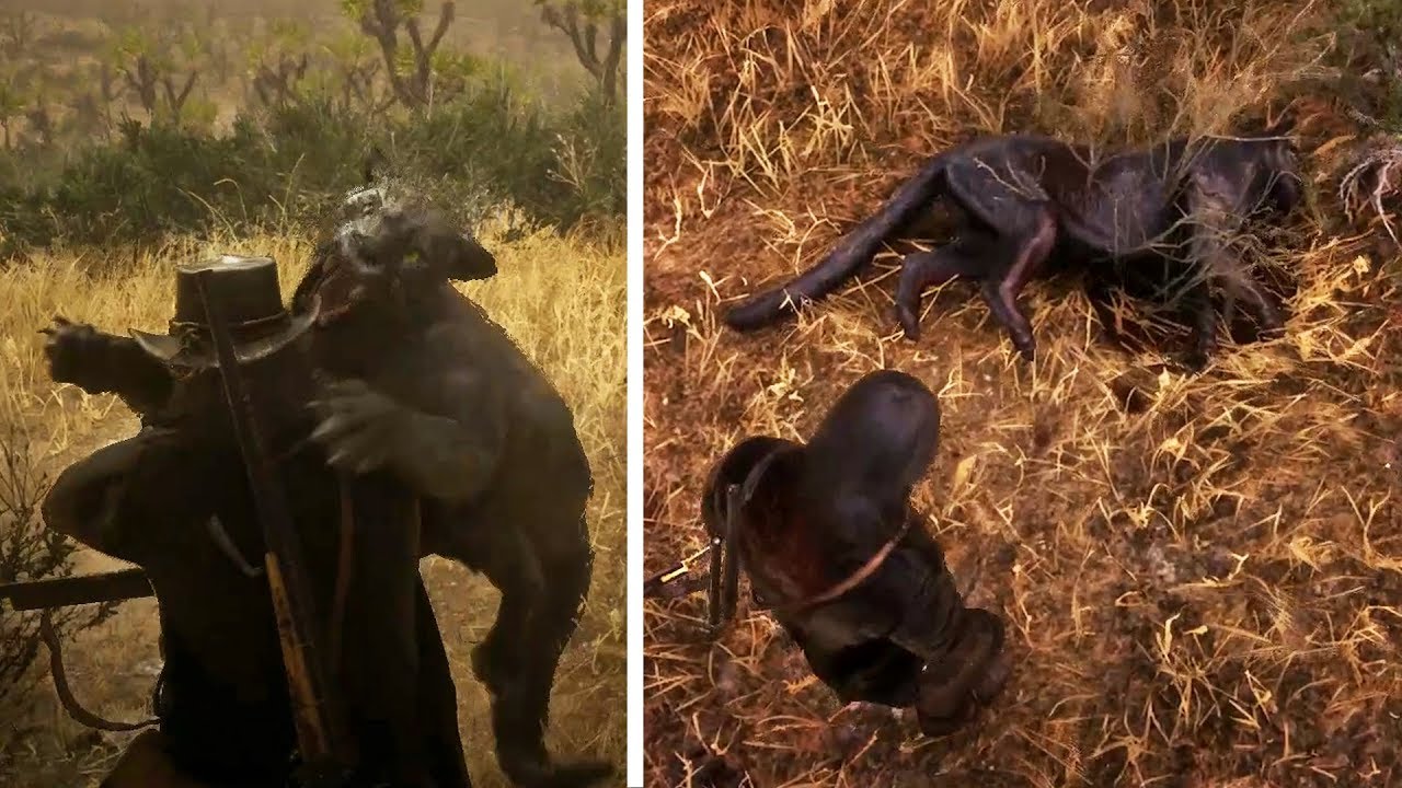 صيد أسد الصحراء الأسود الأسطوري في لعبة ريد ديد ريدمبشن 2 | RDR2 Legendary Cougar Hunt
