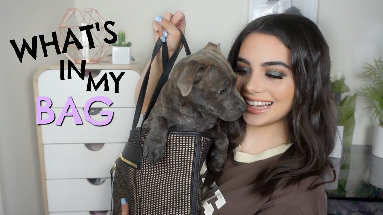 WHAT'S IN MY BAG!