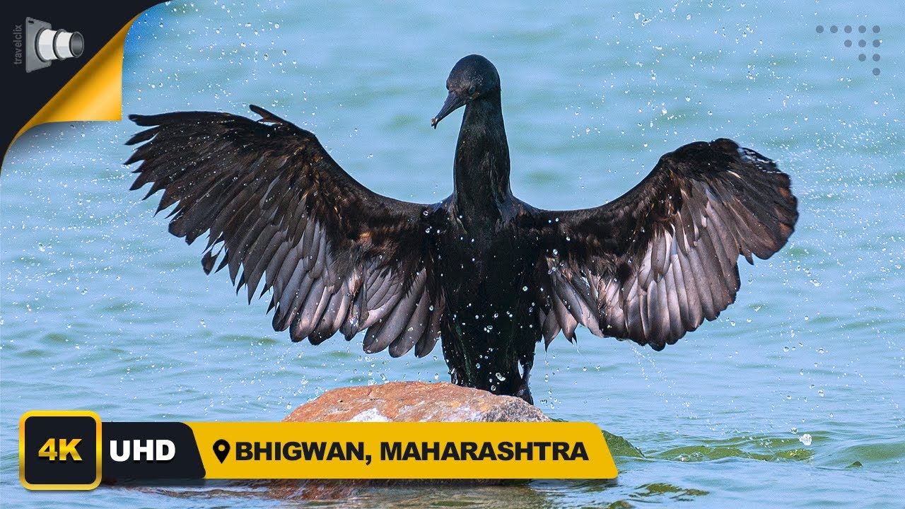 Glimpses of Bhigwan | Upcoming video | Travelclix