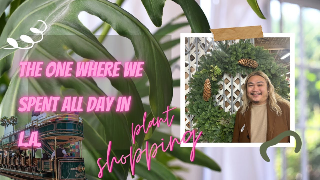 LA Plant Vlog: Питомники и Голливуд
