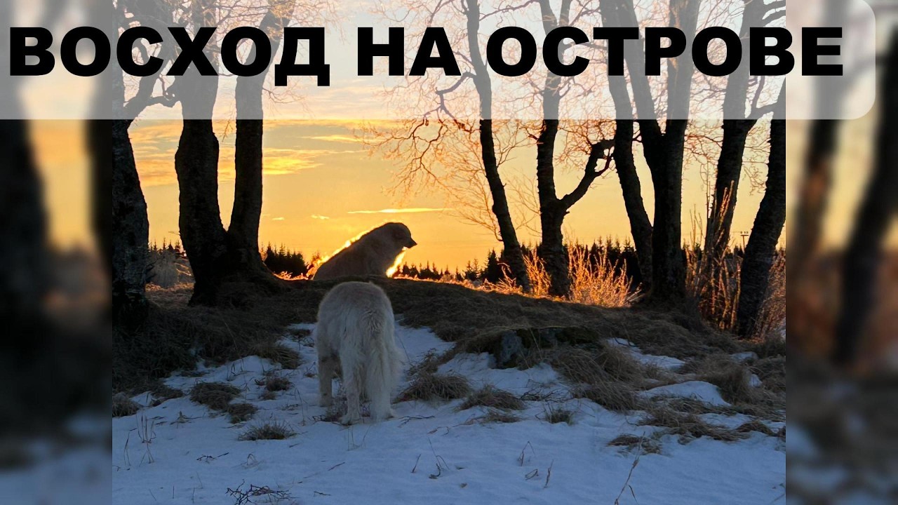 Как проходит наш день на Севере: рассвет, дом и прогулка.