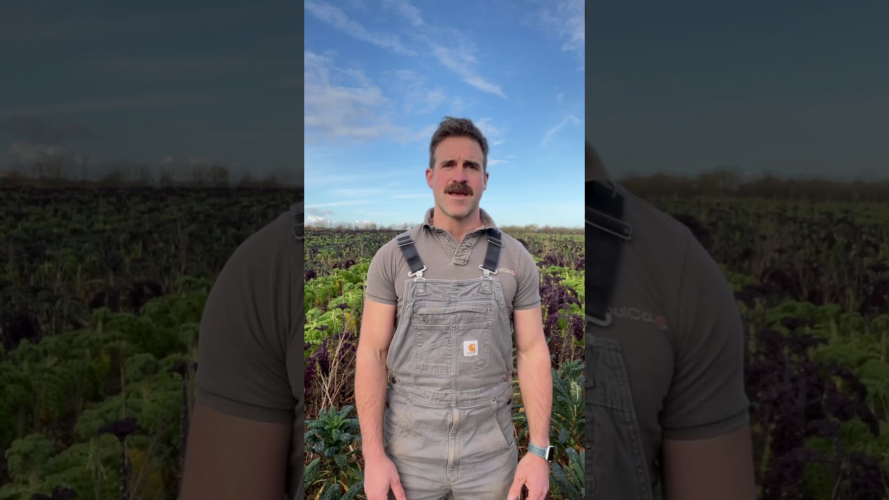 Agroecology: natural tricks for tackling pests