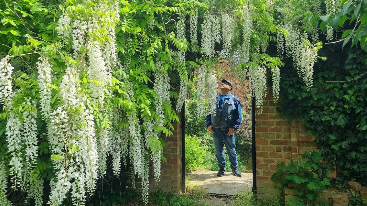 Vas vármegye apró gyöngyszeme - Szelestei Arborétum