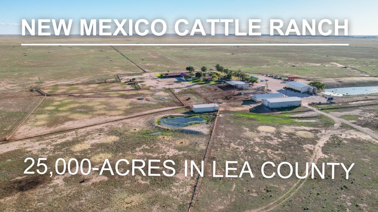 Ranch for Sale in Lea County, New Mexico!