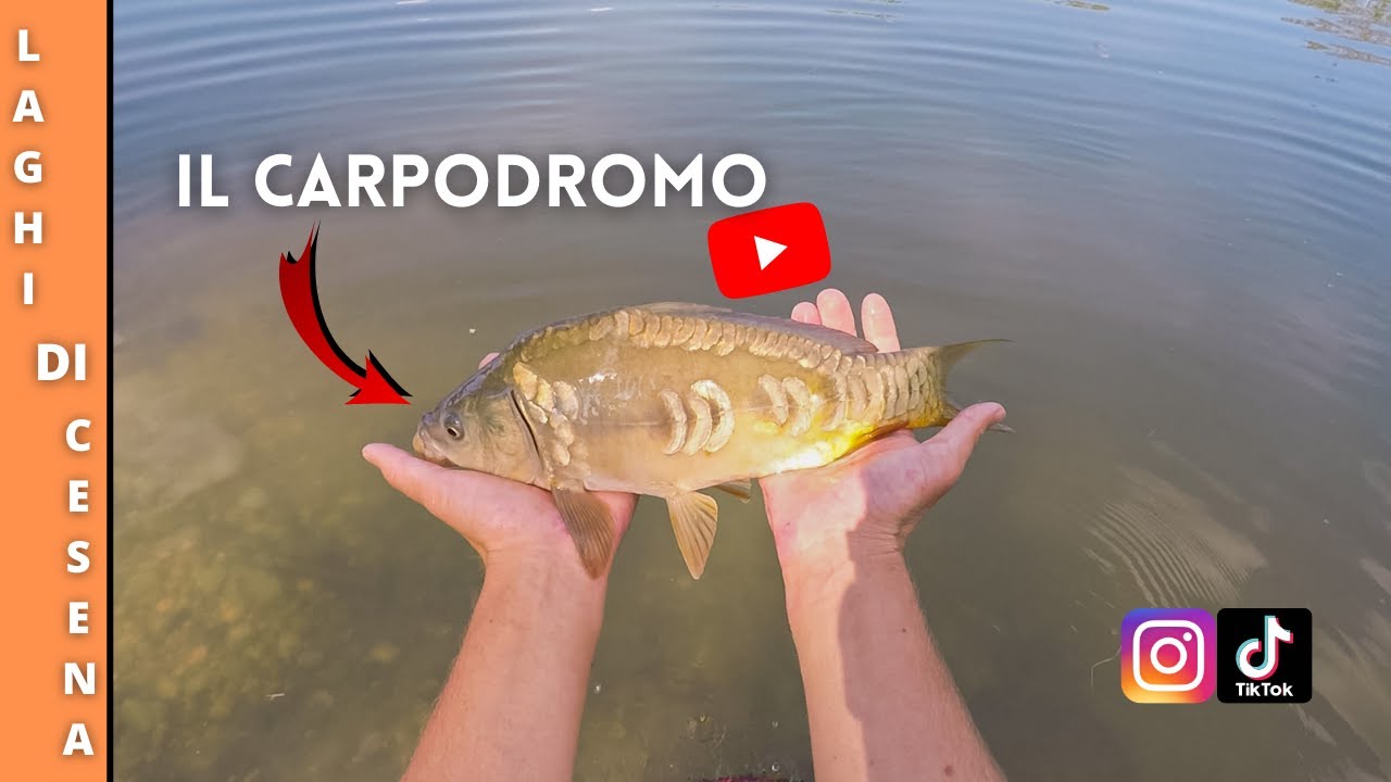 I laghi di Cesena, Lago D: Il Carpodromo