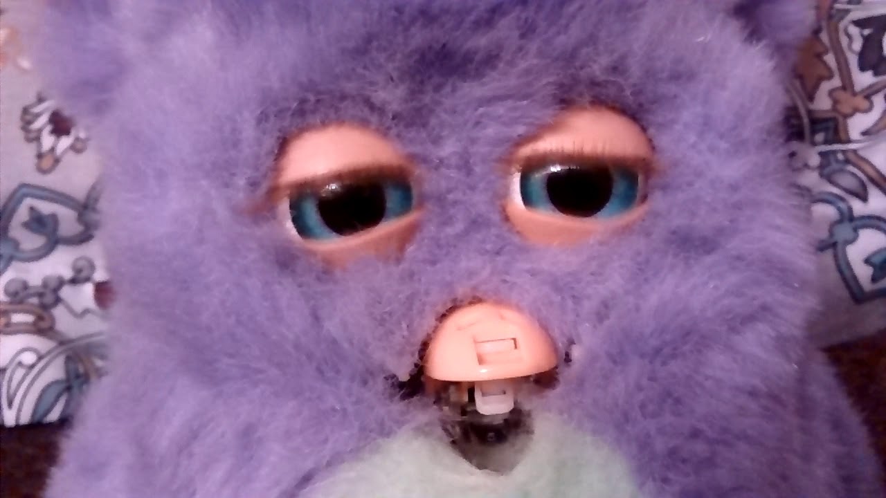 Funky Furby Sings All 3 Songs