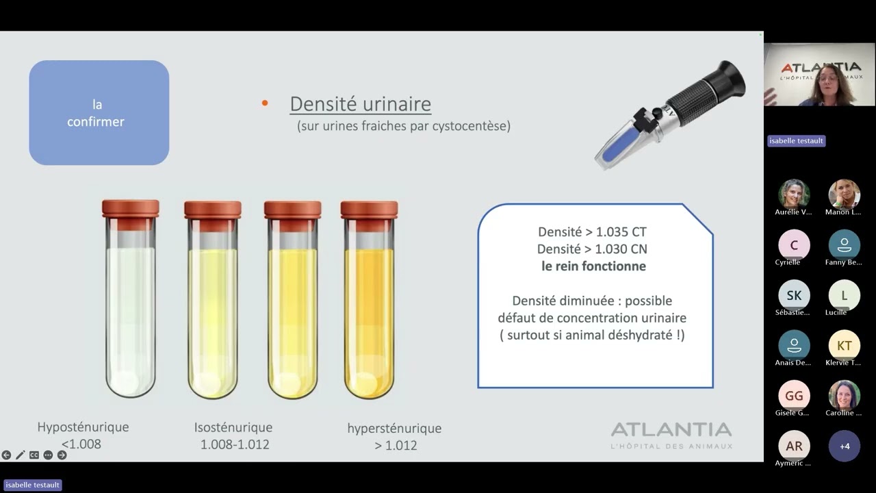 Diagnostic et marqueurs biologiques de la maladie rénale chronique