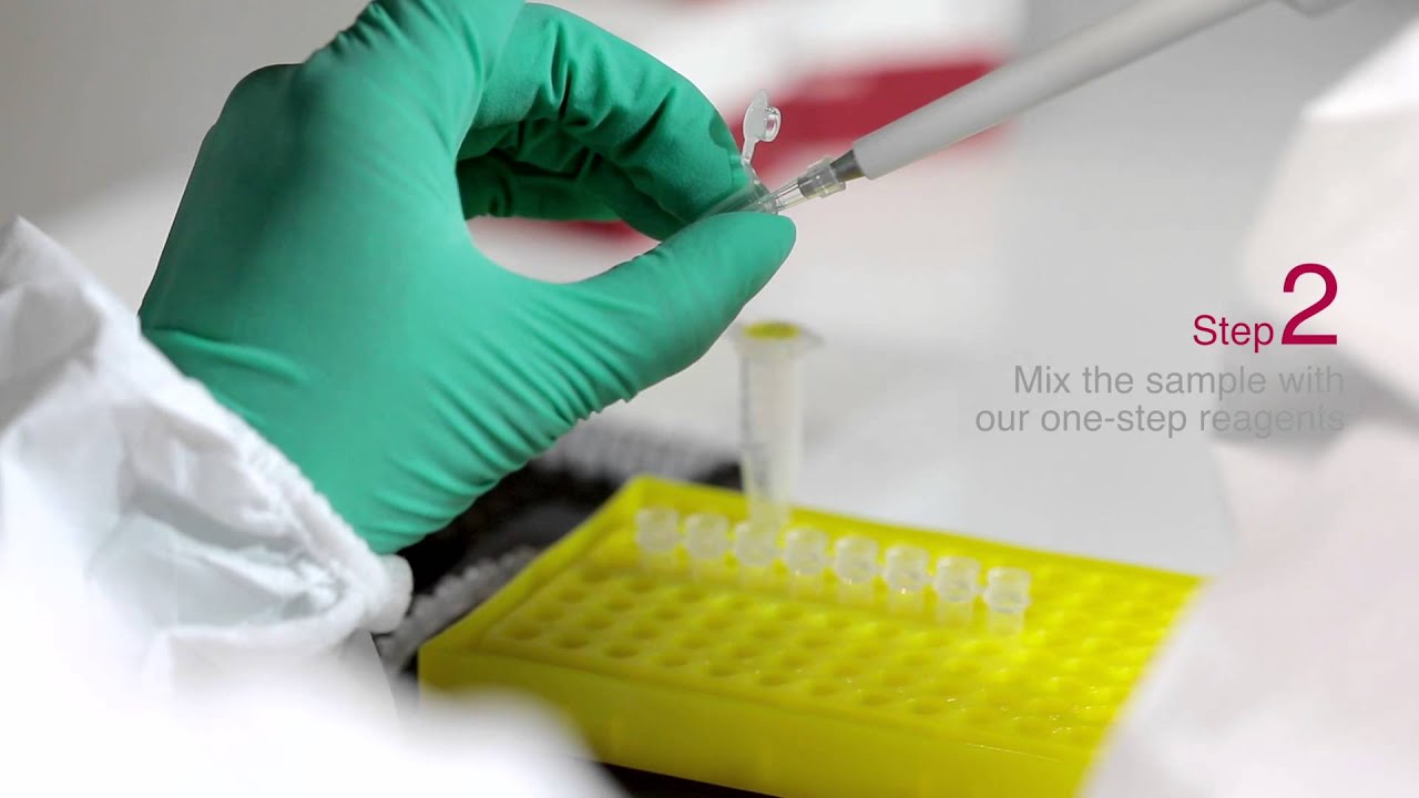 Mini8 Real Time PCR System-portable qPCR