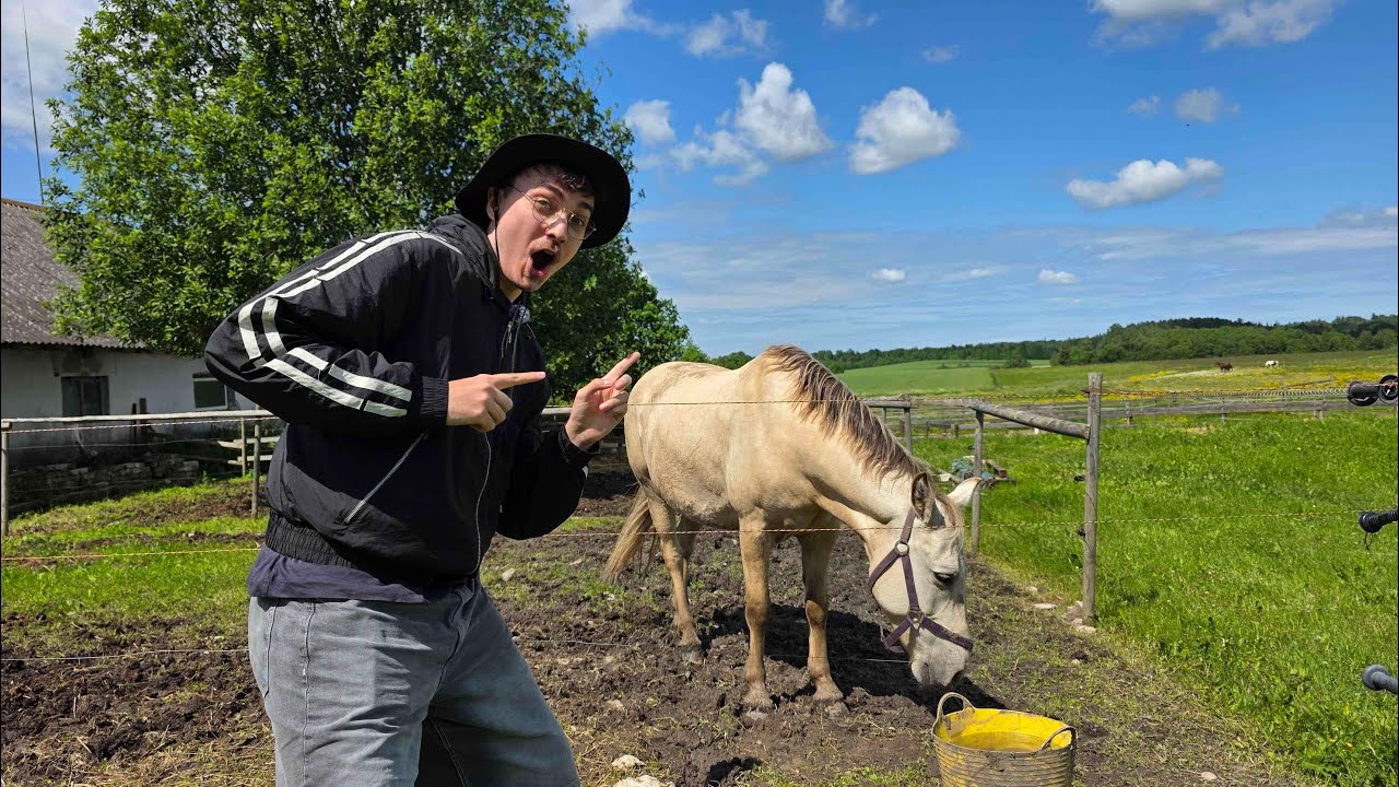 Krispoiss Rakvere Ratsakeskuses.. (KAPPAV LIVE)