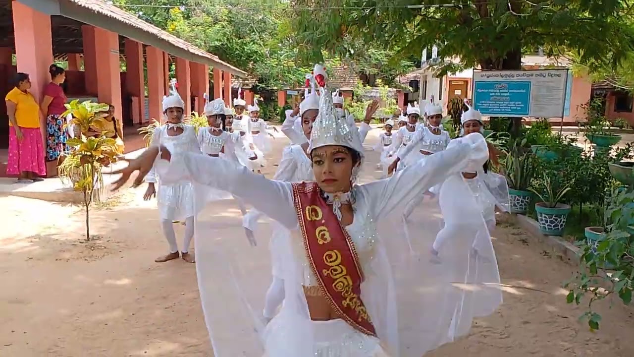 swan dance /හංස නැටුම / පෙරහැර / පුස්තෝලමුල්ලේ අපි...😍