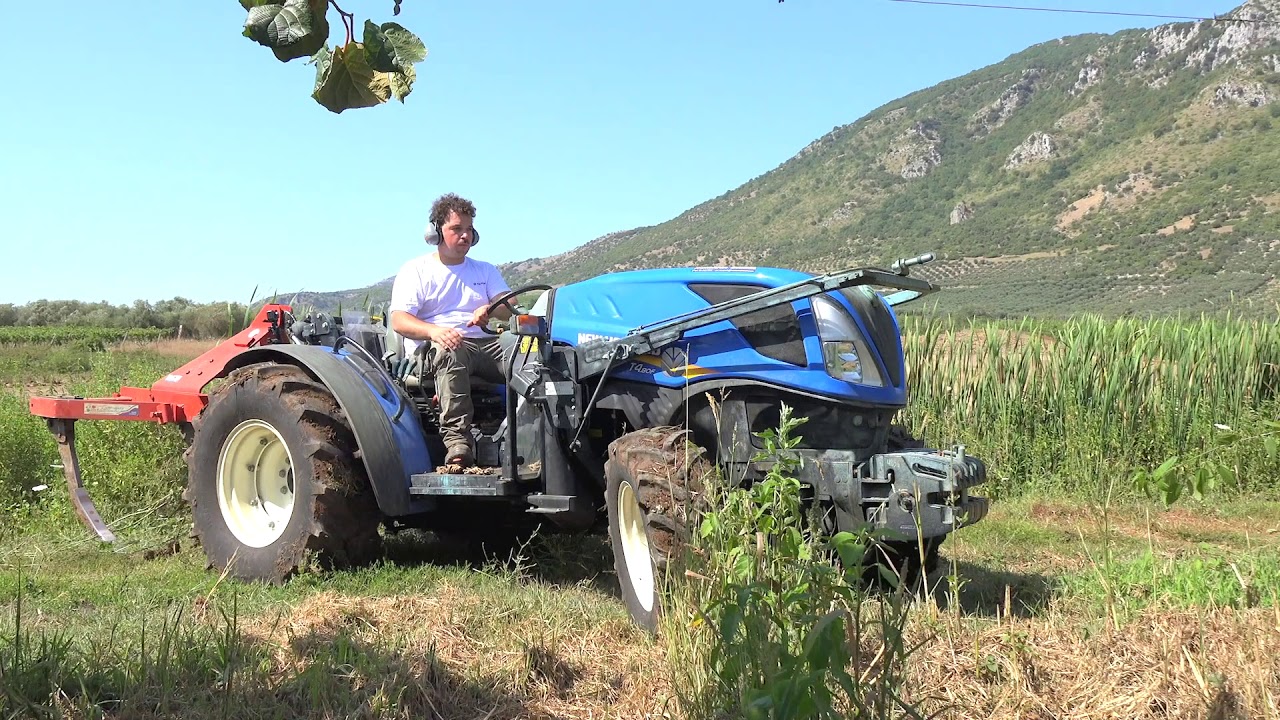 In campo con New Holland: T4F Bassotto