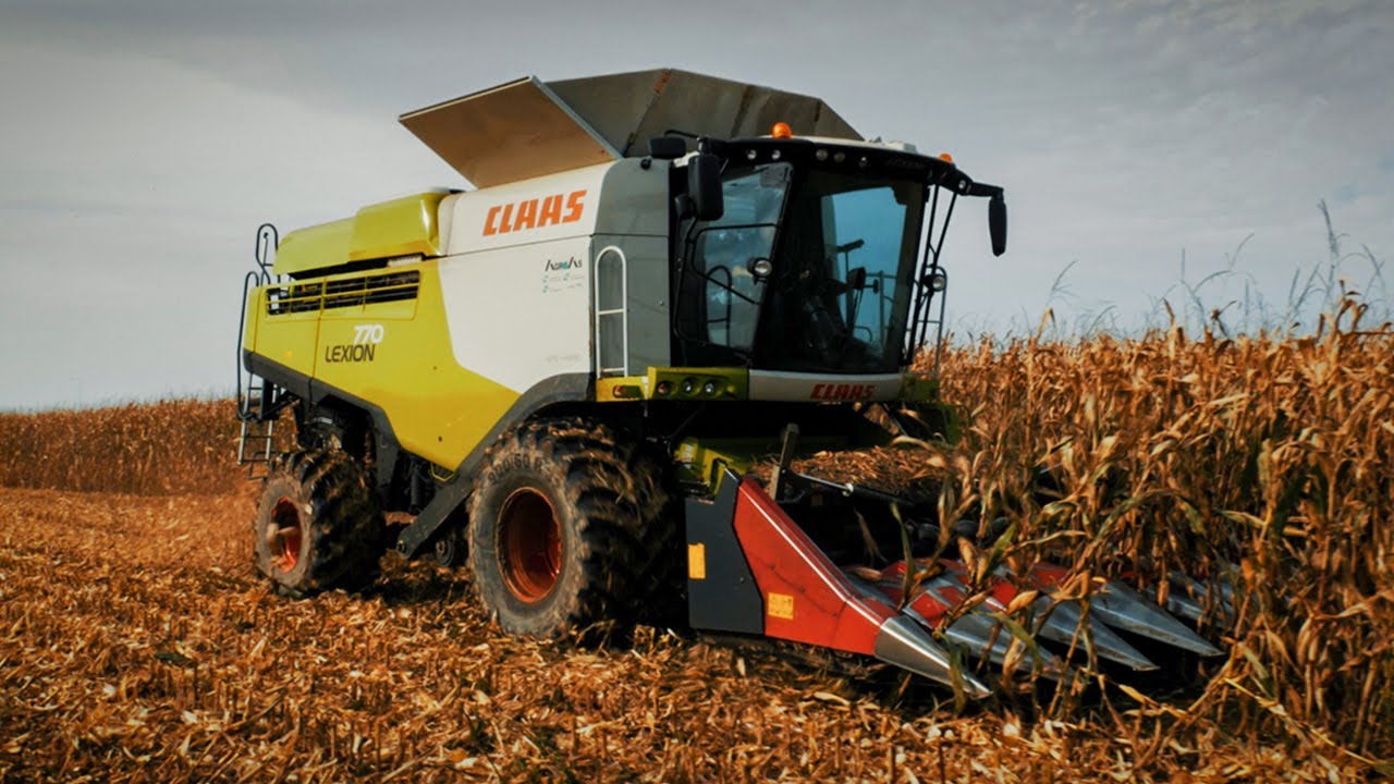 Koszenie kukurydzy w ciężkich warunkach w gospodarstwie rolnym DUTRA claas lexion 770