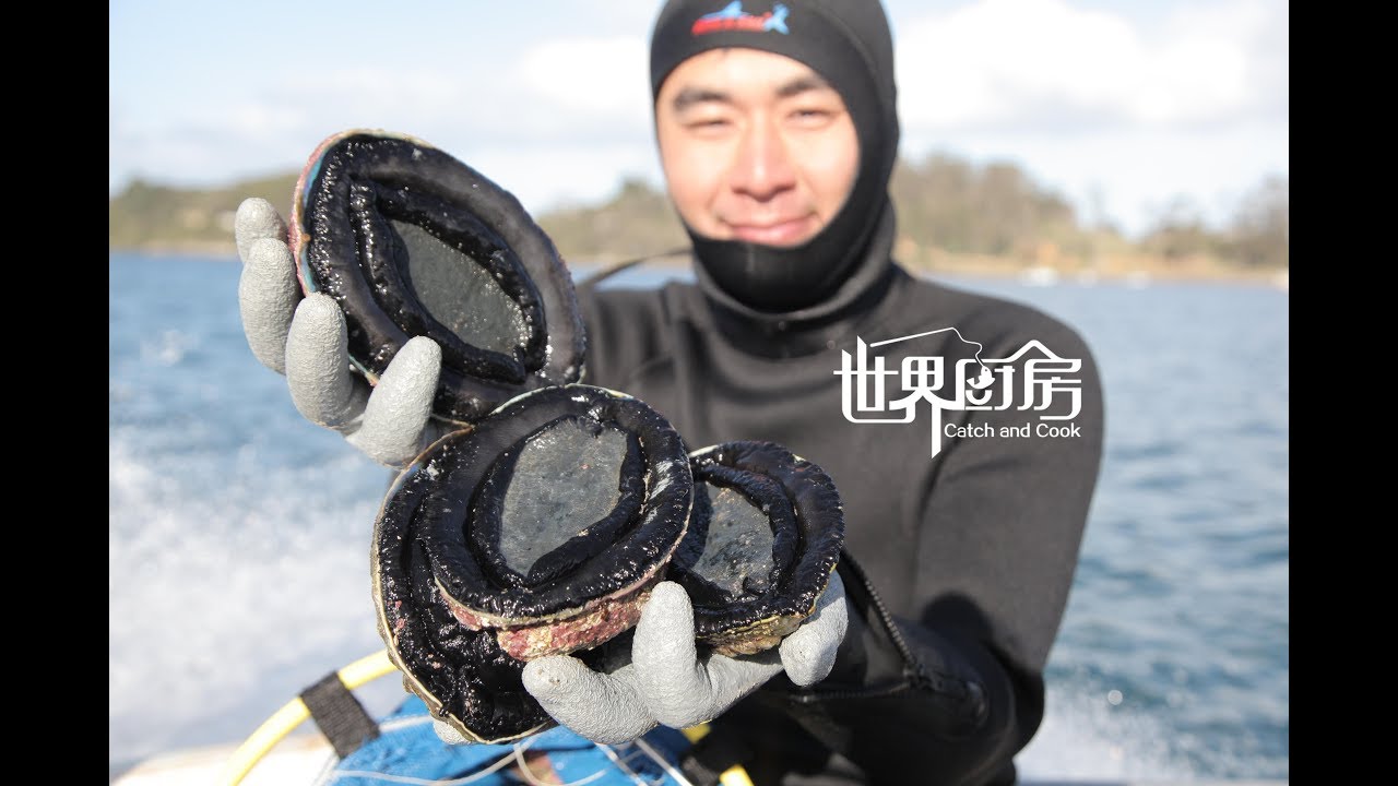 第39集：这个偏僻的新西兰小岛，珍贵的黑金鲍鱼竟然到处都是  Paua(Abalone)  collect and steam,  Stewart Island ,NZ