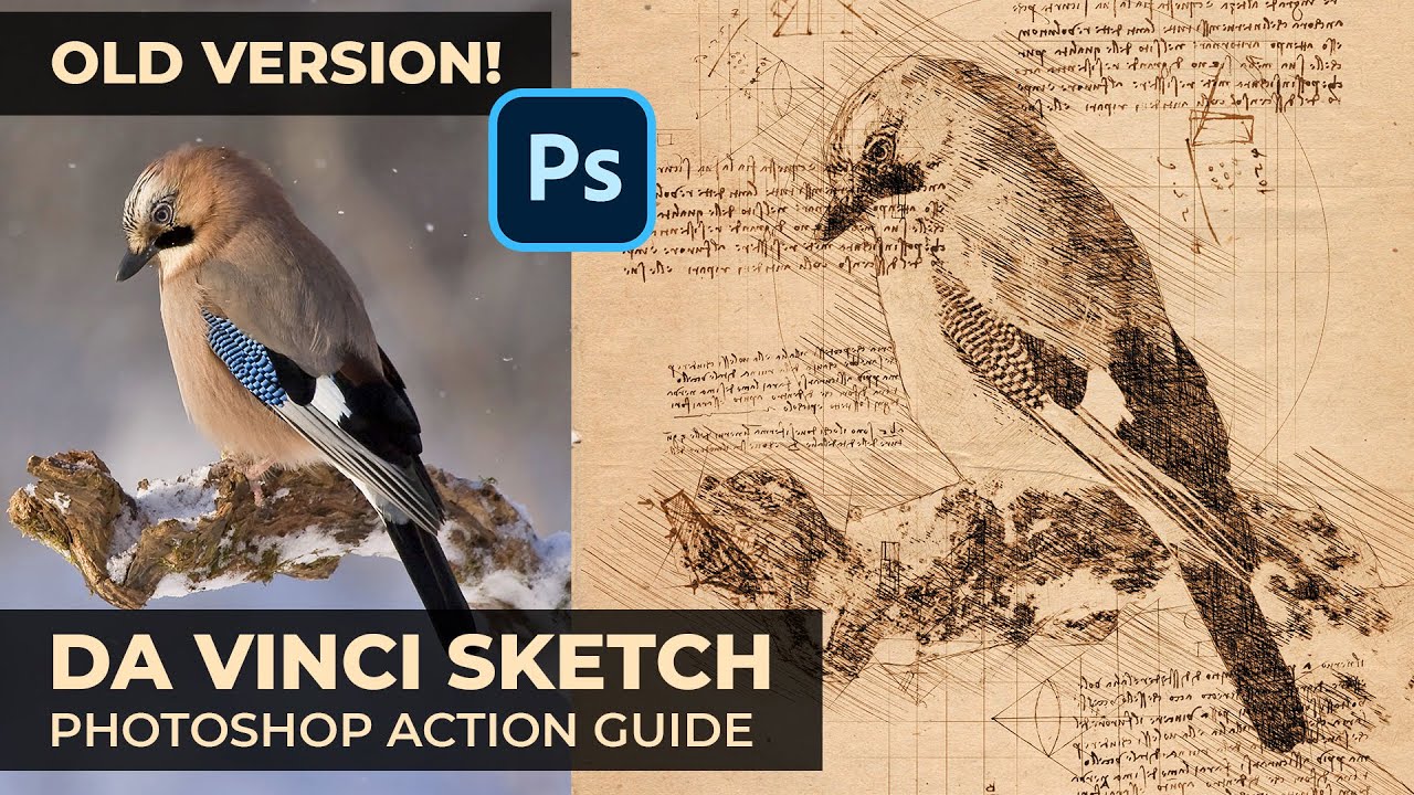 [UPDATED VIDEO IN DESCRIPTION] Da Vinci Sketch Photoshop Action Guide