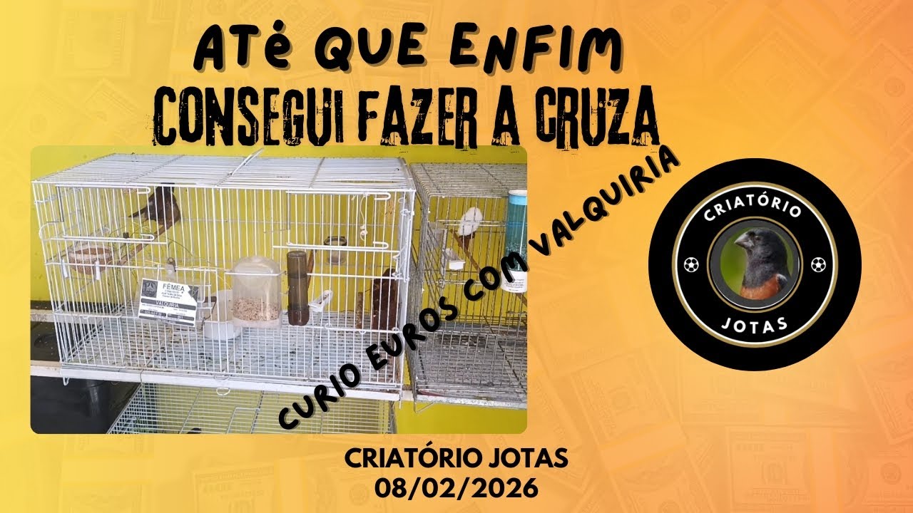 Ufa, até que enfim consegui uma CRUZA!