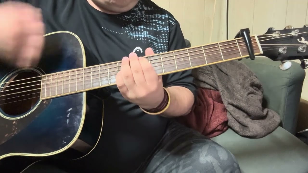 君色ハナミズキ アコギで弾いてみた(GuitarCover)(わためと自由研究2025提出用)