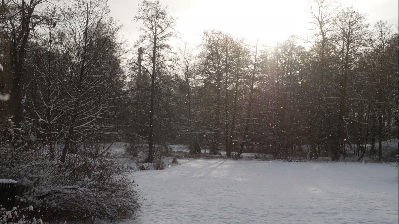 Blanket of Quiet Snow