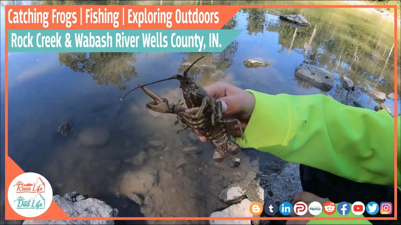 Exploring Rivers and Riverside in Indiana Catching Crawfish Frogs, Largemouth Bass, and Bridges