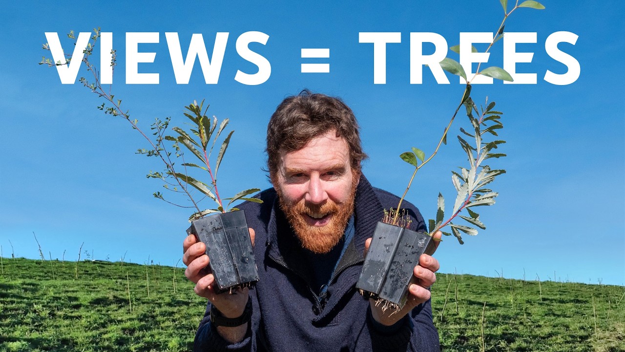 Using YouTube to plant a forest