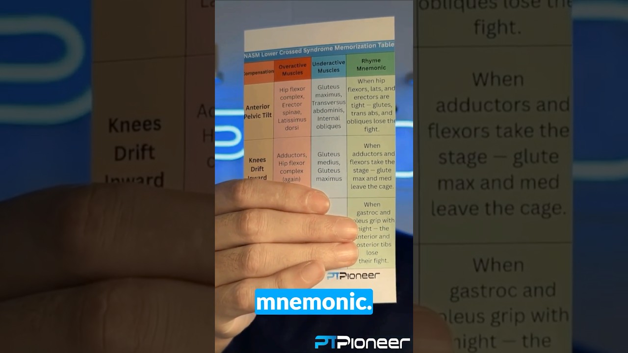 🧠 Master the Lower Crossed Syndrome with Easy Mnemonic