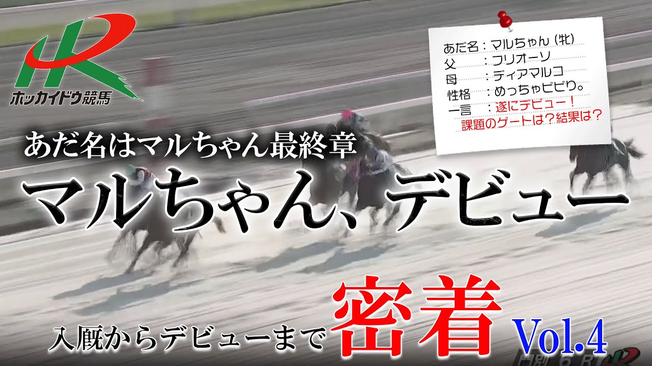 【ホッカイドウ競馬】入厩からデビューまで密着Vol.4～あだ名はマルちゃん～