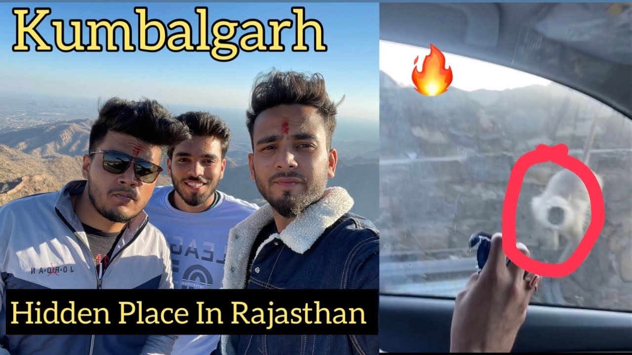 Langoor Ne Kiya Mujhpe Bhi Attack😰 - Udaipur To Kumbalgarh