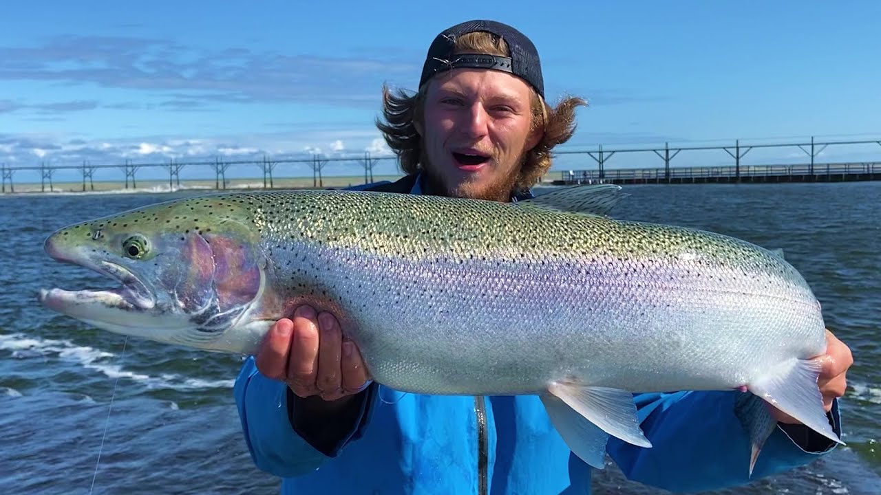 Pier Fishing MASSIVE Michigan Steelhead - Summer Run Skamania Fishing