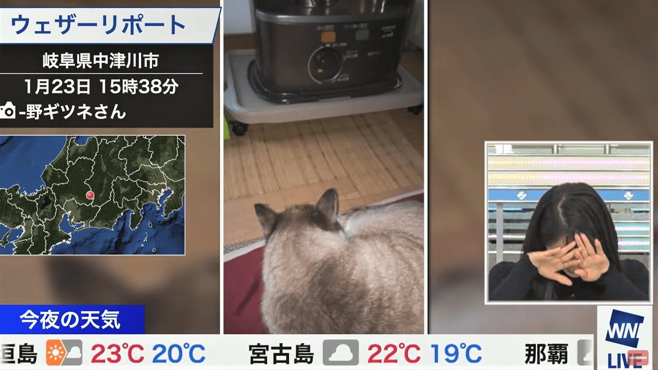【武藤彩芽】猫を美味しそうと言ってしまうあーちゃん【やっちまったぁ～】
