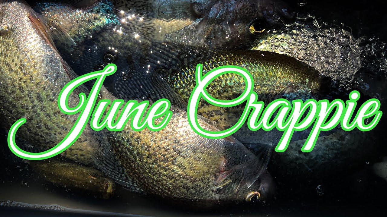 Hunting for Crappie in June using Side-Imaging