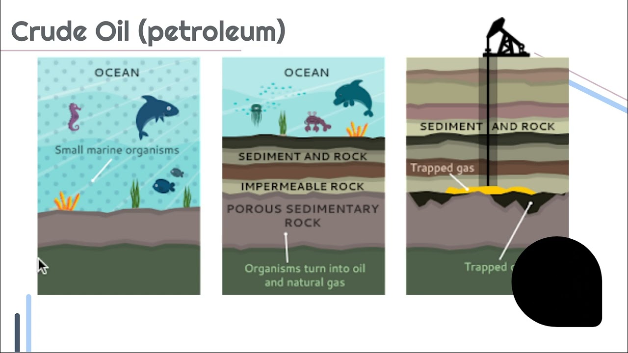 Traditional Fuel Sources