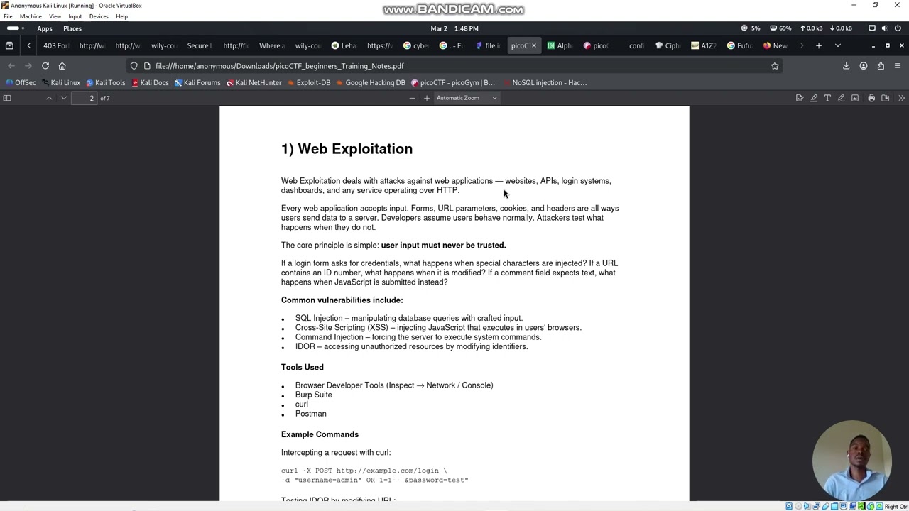 Web Exploitation Introduction Part 2