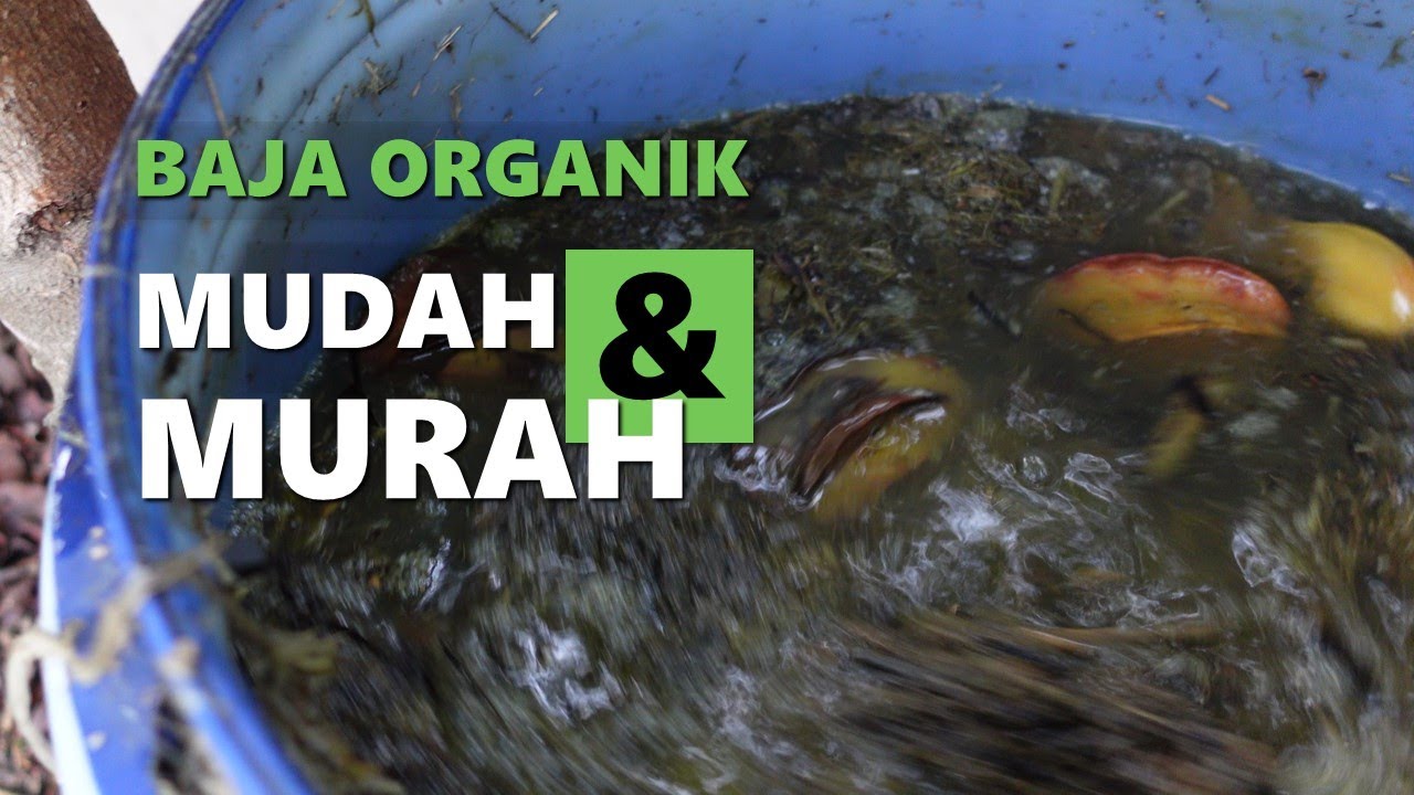 Part 2 : Baja Organik Cair Buatan Sendiri yg Mudah & Murah.  #JADAM Liquid Fertilizer (JLF) 🙏🌿🤠