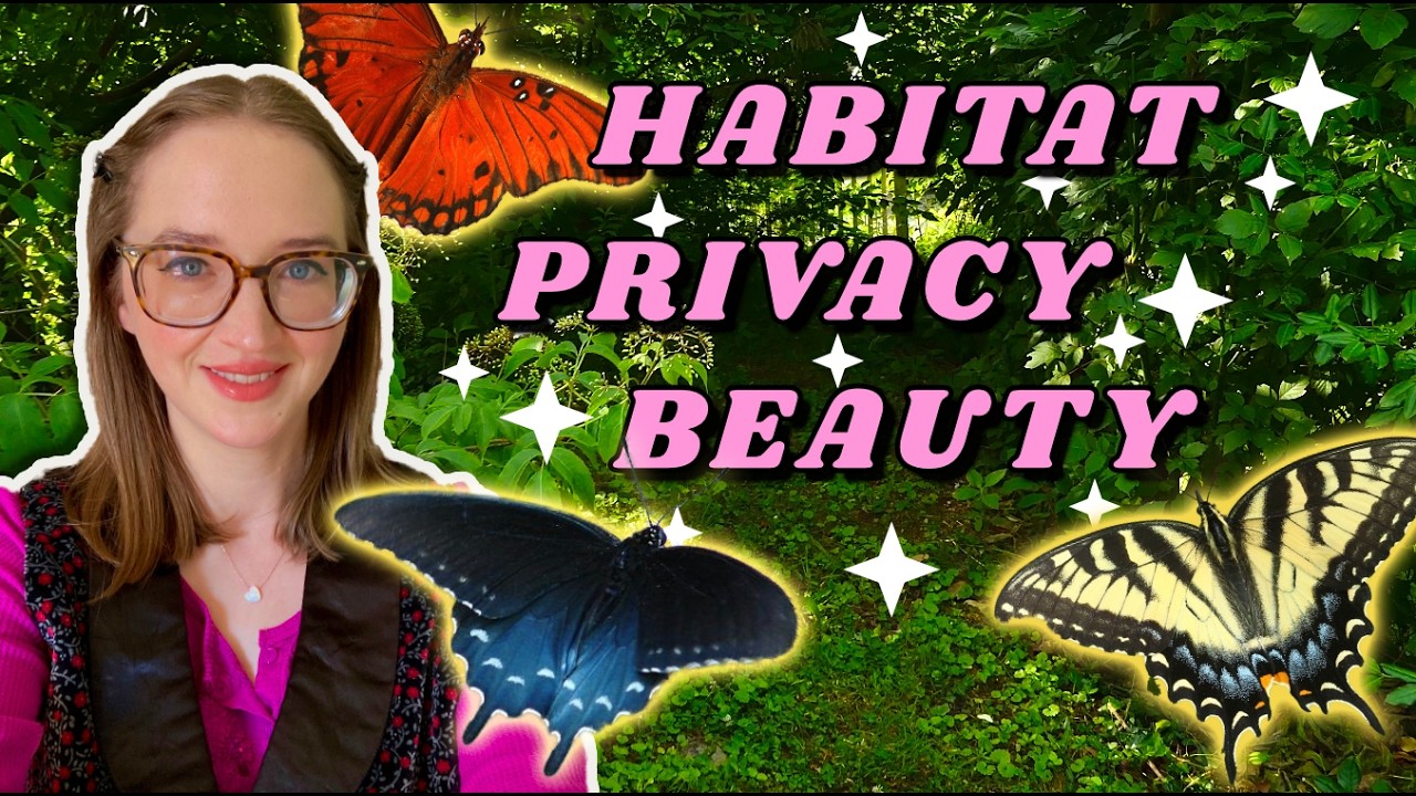 Privacy Screening: Native Plants List for 2026 || EASTERN United States