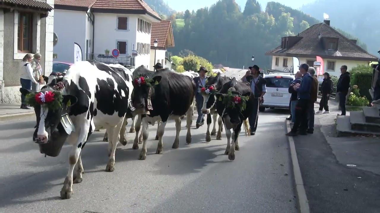 DESALPE DE LA FAMILLE PILLER CHARMEY 2025
