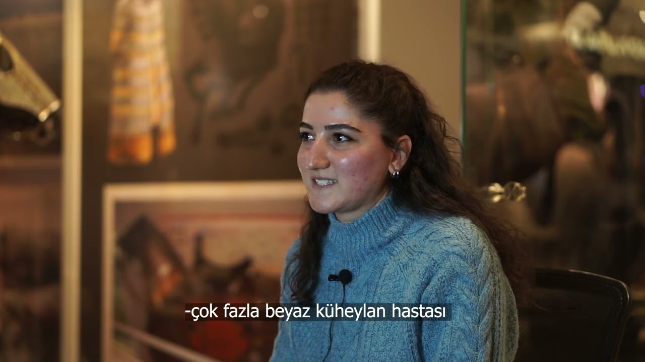 Sivas Hamidiye Kültür Bahçesi Savaş Atları Müzesi