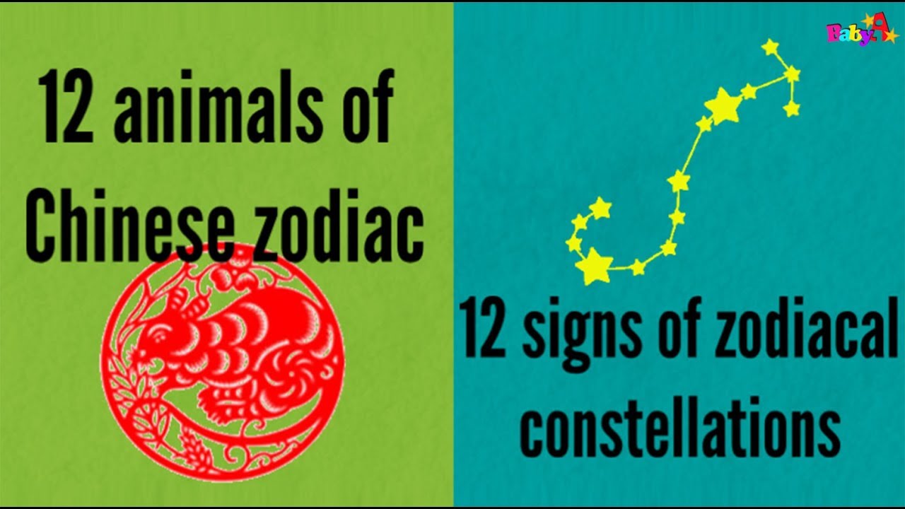 12 animals of Chinese zodiac | 12 signs of zodiacal constellations