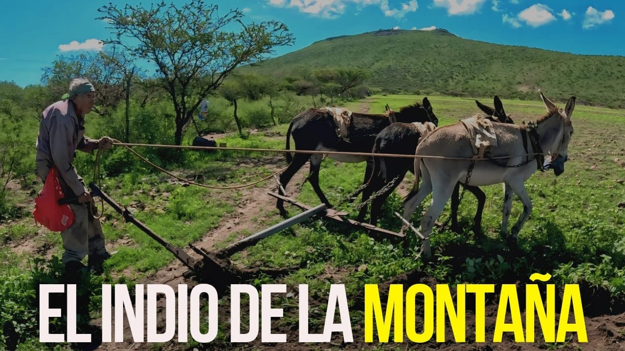 POR MI CUERPO CORRE SANGRE DE CUAUHTÉMOC