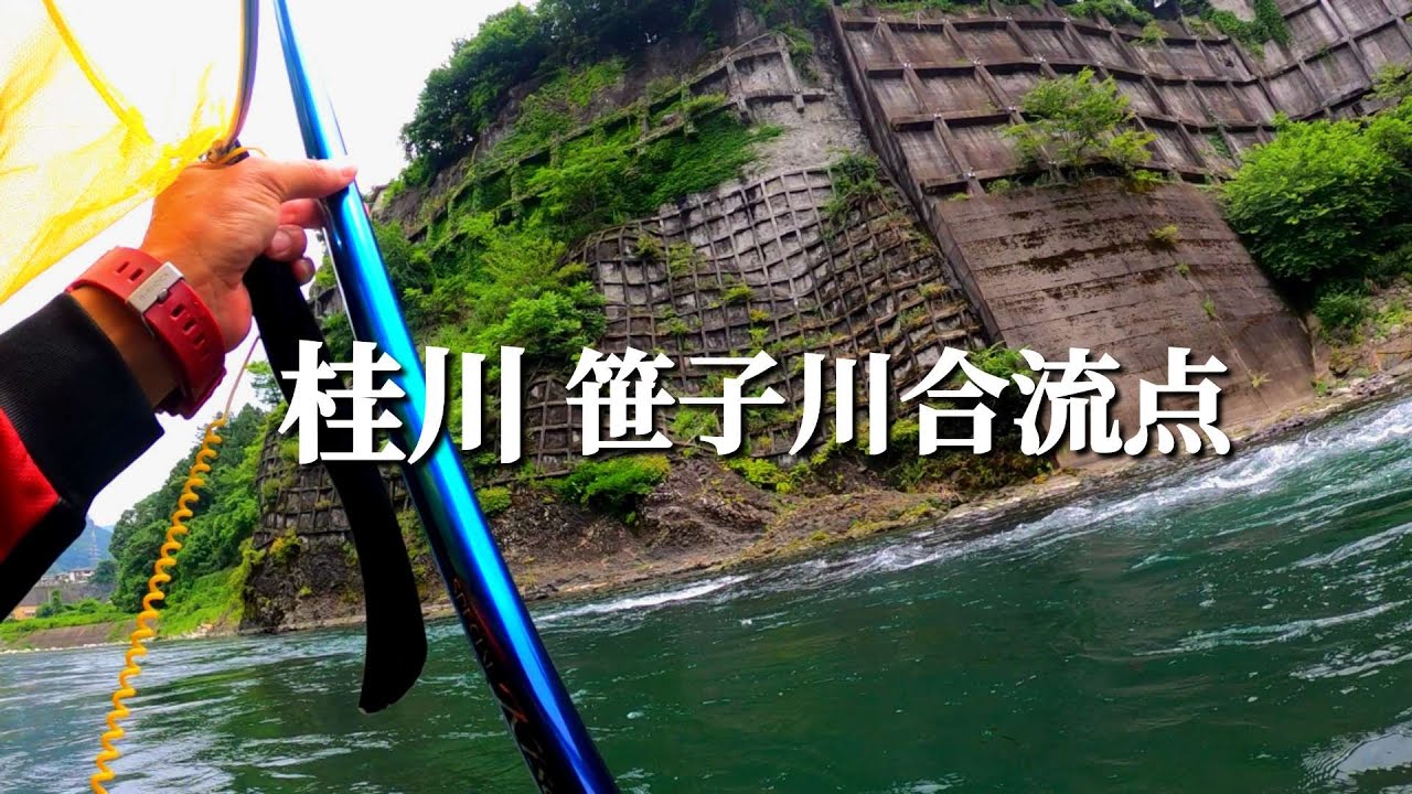 【鮎釣り】【友釣り】岩盤を釣る
