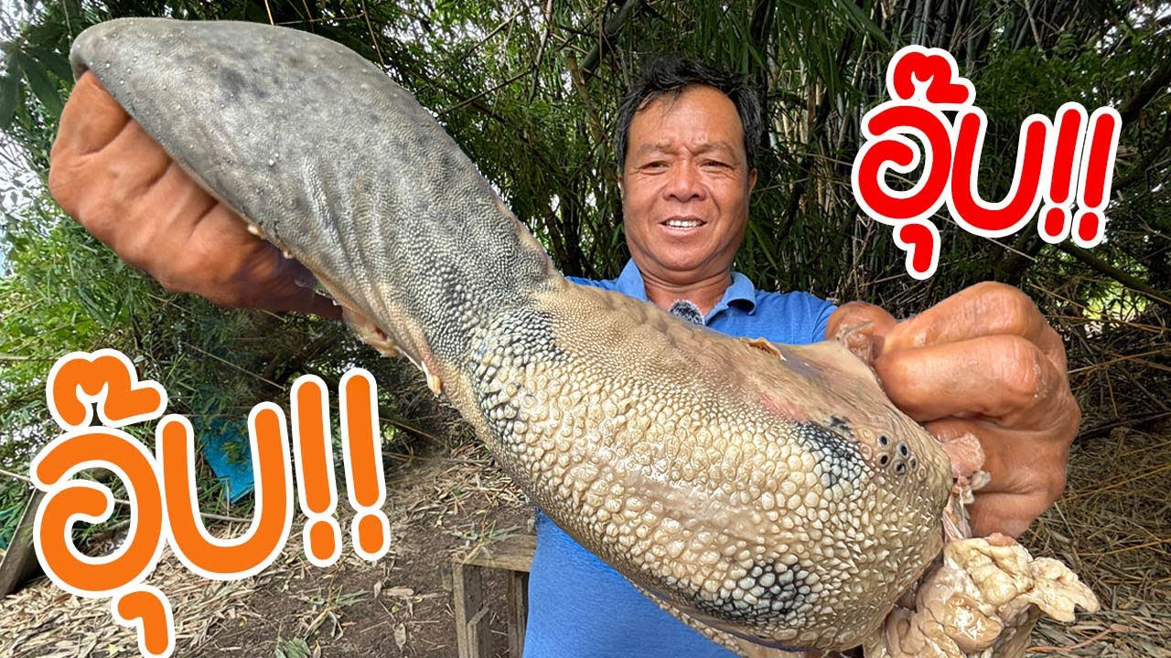 ชิ้นใหญ่ๆ !! เมนูสูตรรัฐฉาน แต่ใส่ปลาร้า !! l SANCE
