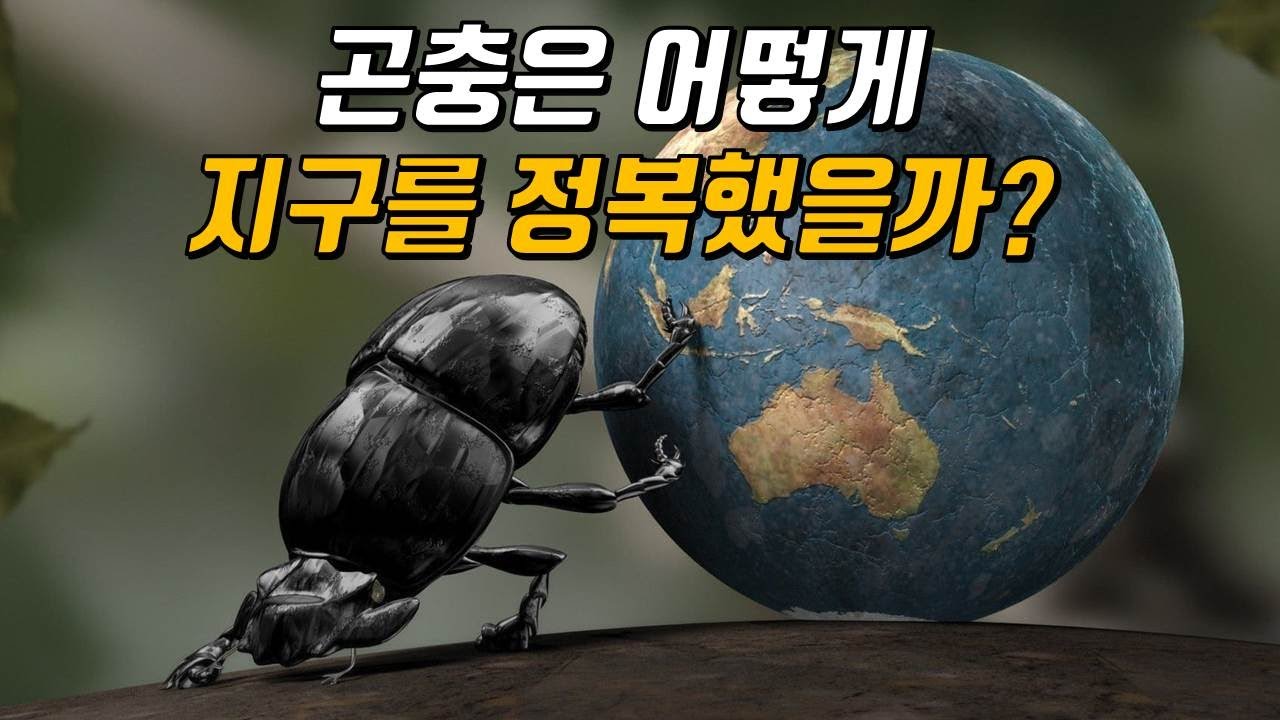 지구상에 곤충은 왜 이렇게 많은 걸까?