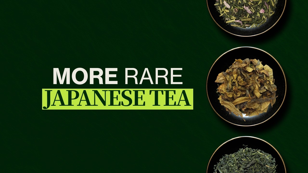 More Rare Japanese Teas! Tasting Sakura Sencha, Awabancha and Tamaryokucha